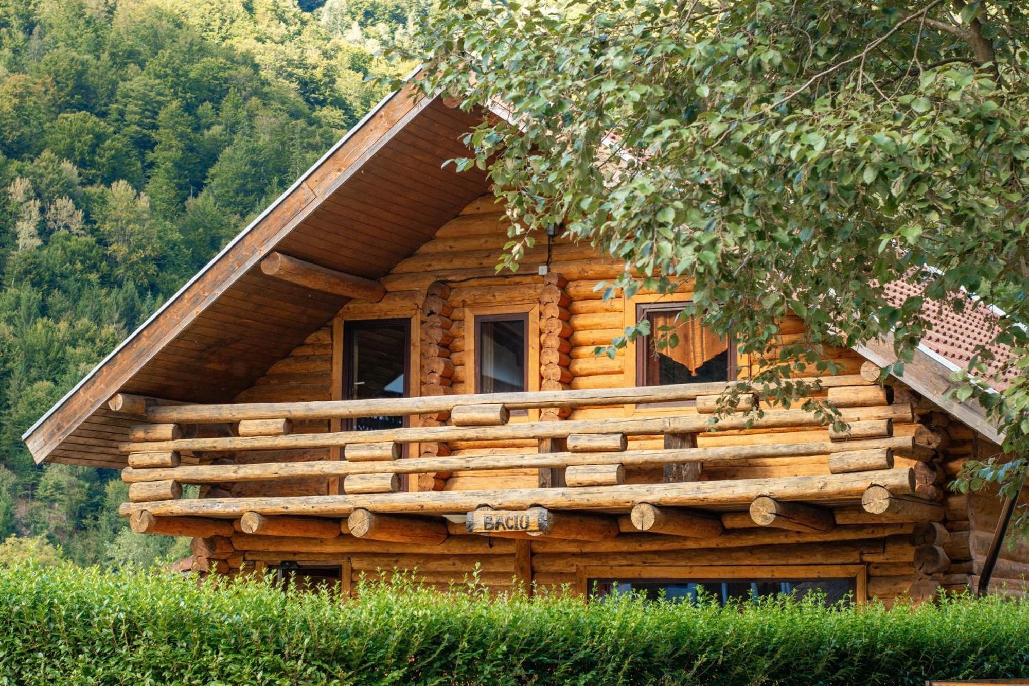 Resort 7 Crai - Cabana Baciu Zărneşti Exterior foto